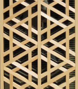 Timurid Lattice Close Up copy